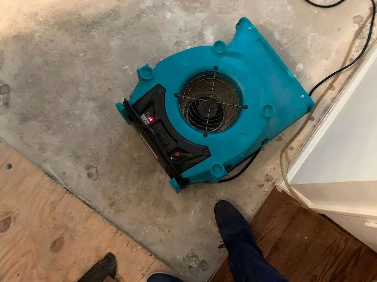 Air mover drying subfloor during Commercial Water Damage Restoration in Wayne